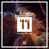Incorrect Segment vinyls logo